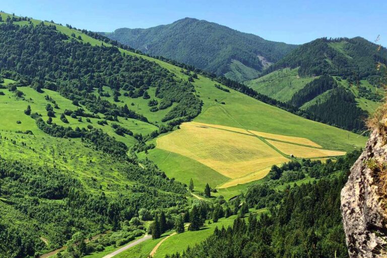lokalita